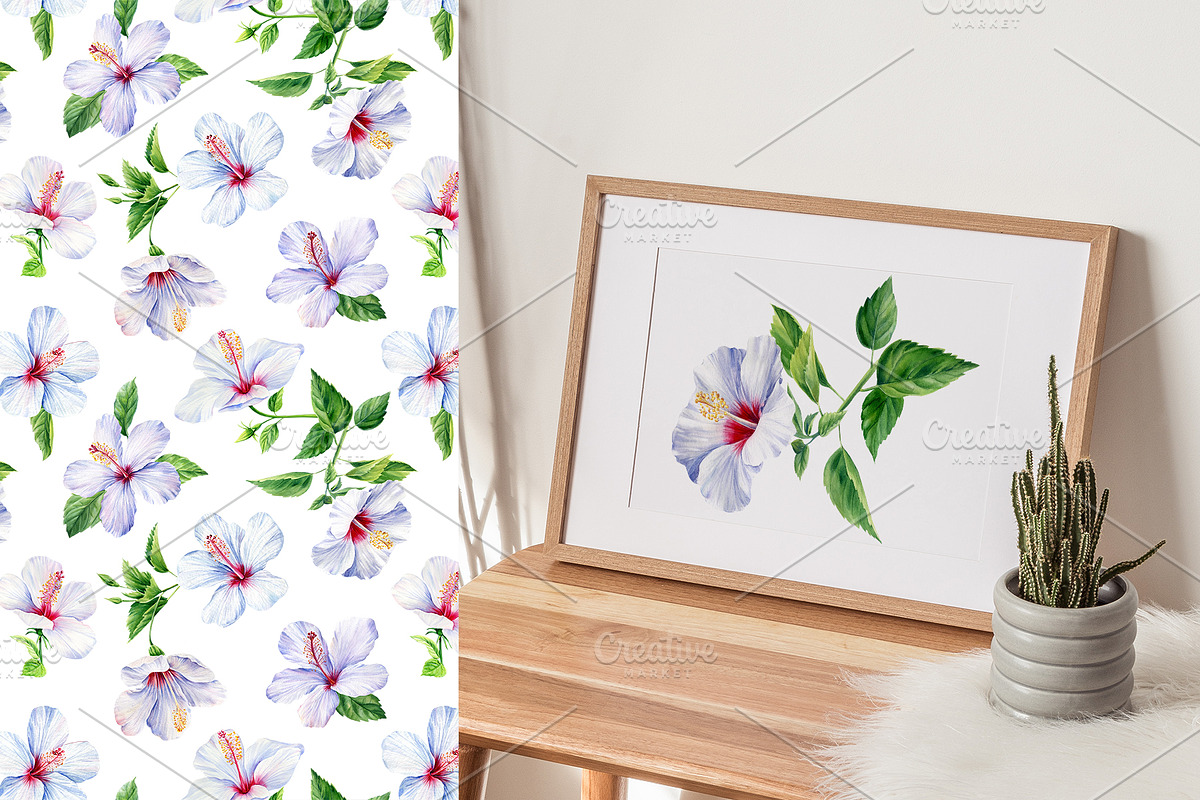 Watercolor tropical hibiscus flowers, an Object Illustration by Hanna Hryharenka (Photo 15 of 18)