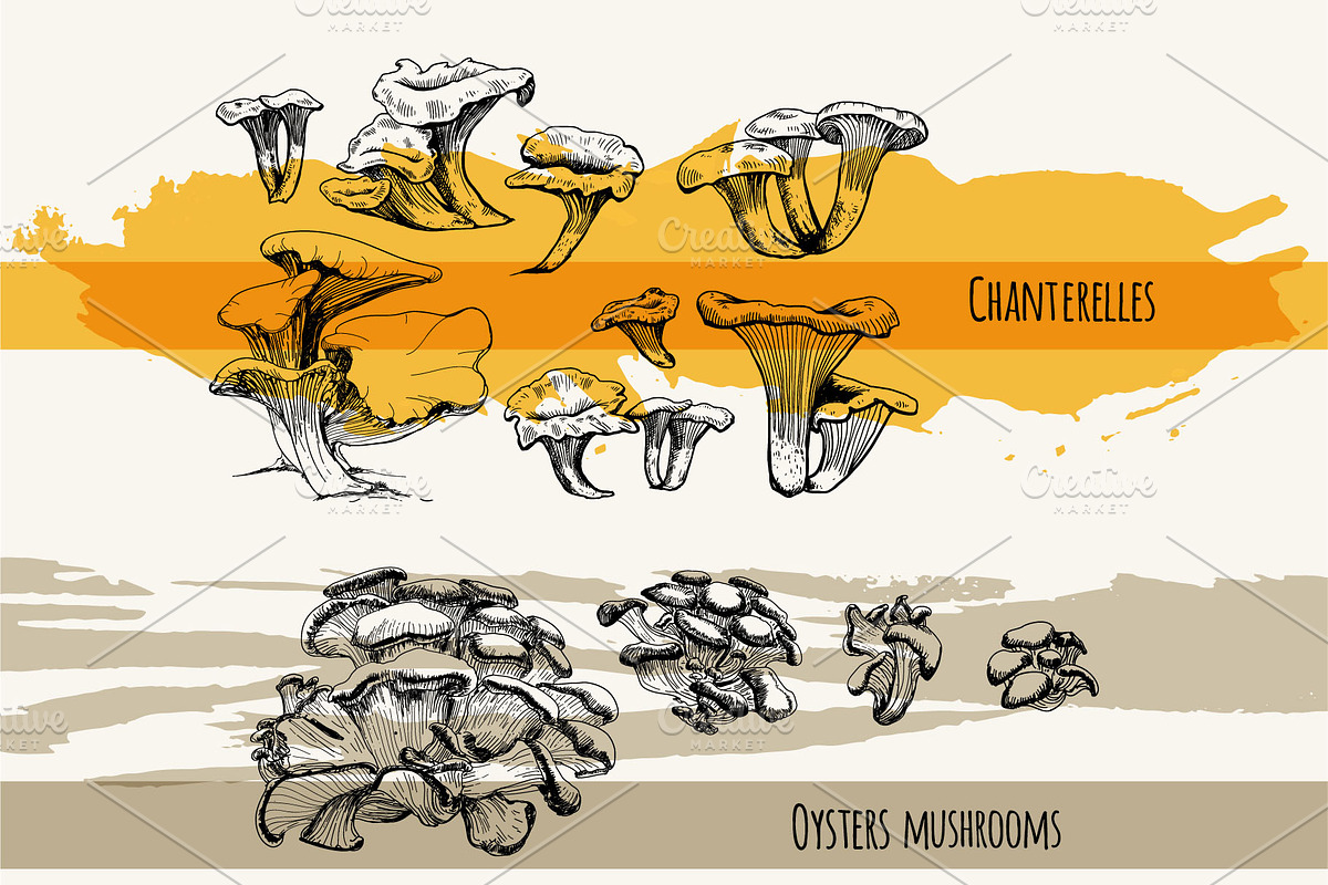 Mushrooms. Big set. 84 objects, a Decorative Illustration by Alena Kaz (Photo 6 of 8)
