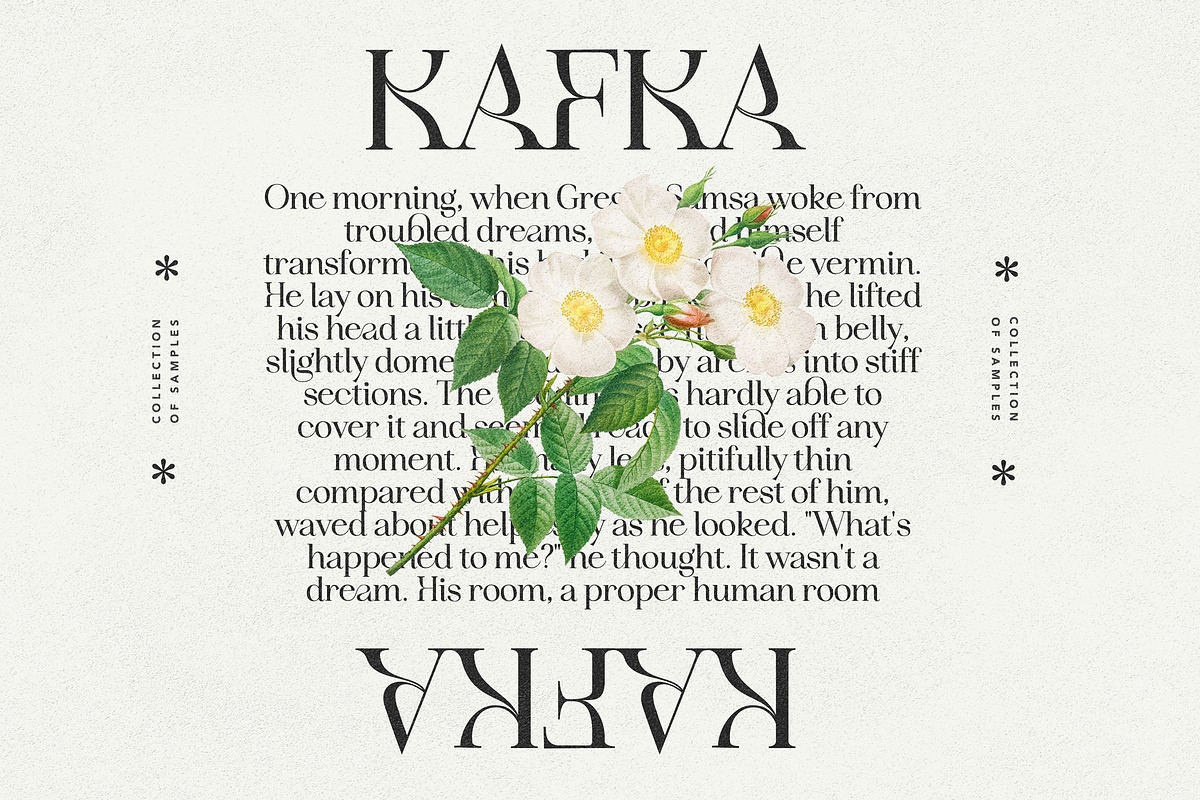 Idealist Serif, a Serif Font by Nicky Laatz (Photo 31 of 34)