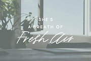 Eugene and Oakley Font Duo, a Sans Serif Font by Margot + Co (Thumbnail 5 of 18)