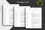 Professional Canva CV Pack | Canva, a Resume Template by Lux Resume (Thumbnail 3 of 9)