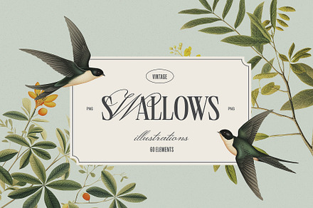 Swallows - vintage illustrations, an Animal Illustration by AI Crafted Magnolia