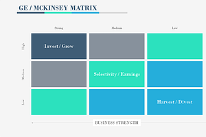 GE/MCKINSEY MATRIX PowerPoint