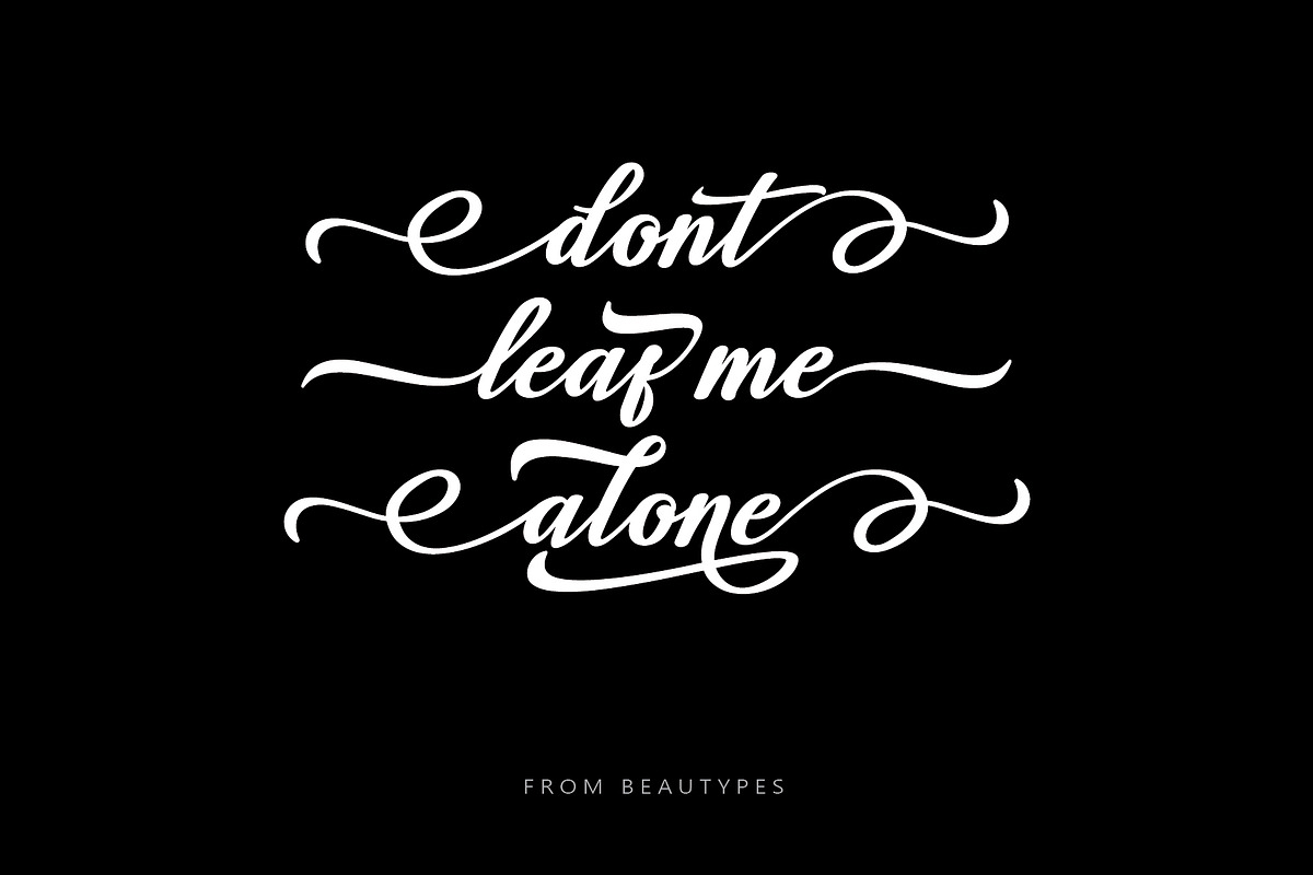 Losttimoh - Vintage Script Font, a Script Font by Beautypes (Photo 7 of 9)