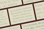 Verre De Blanc - An Elegant Serif, a Font by Evoke Type Studio (Thumbnail 8 of 14)
