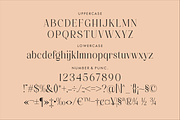 Alchadera A Modern Serif Font, a Serif Font by Storytype Studio (Thumbnail 13 of 15)