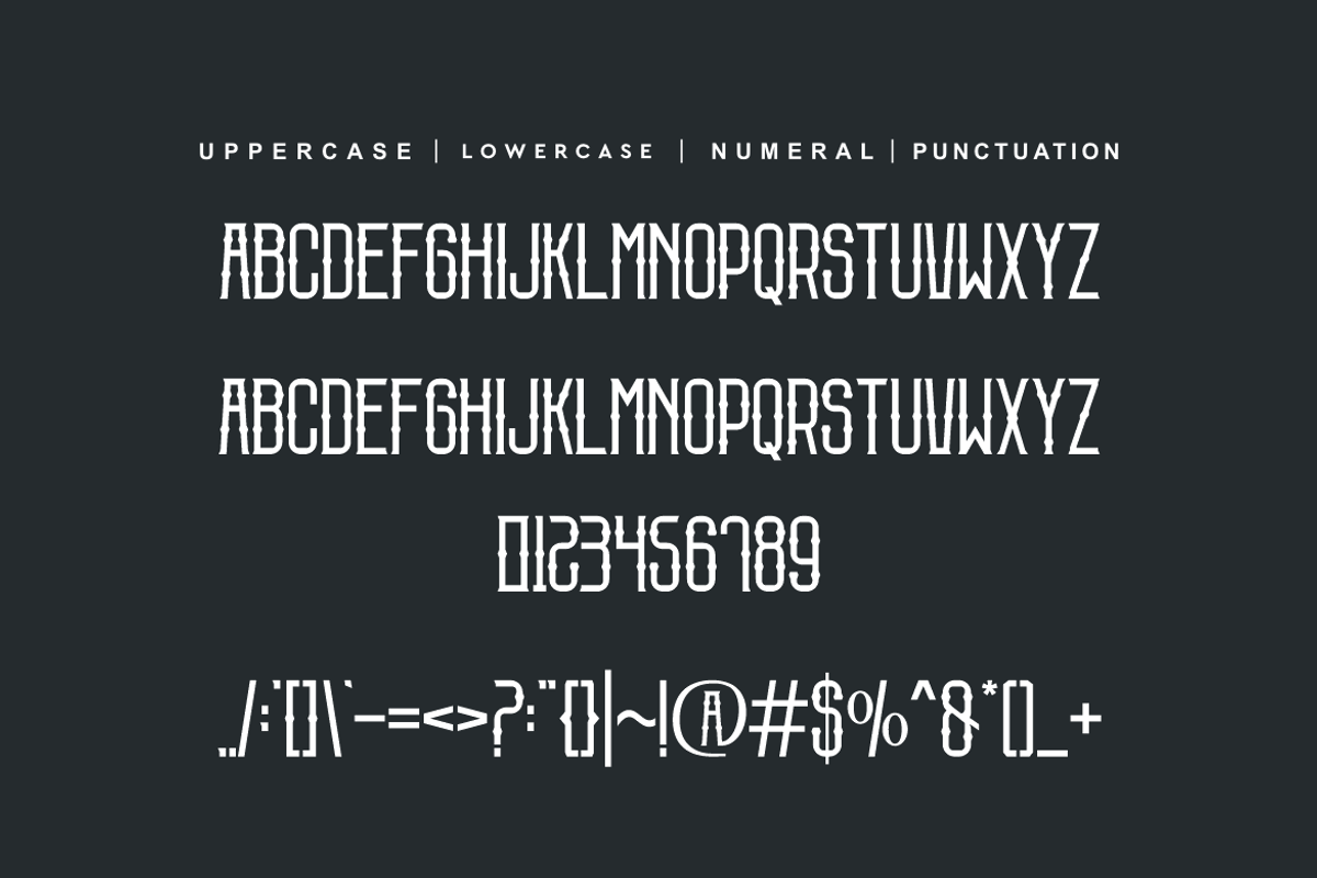 Brocksporen, a Serif Font by QR Design Studio (Photo 7 of 7)