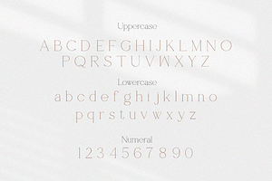 Shoogie Serif Font