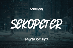 Sekopeter Sanserif Font .