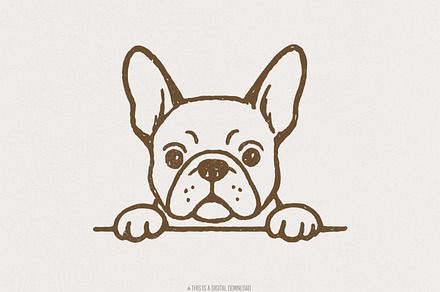 French Bulldog PNG, Digital