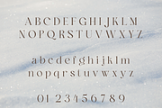 Ankadi Serif, a Serif Font by Creative Foundry (Thumbnail 6 of 8)