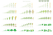 Stages of Plant Growth set, an Education Illustration by Ilia Design (Thumbnail 6 of 7)
