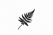 8 Fern Leaf Silhouette Bundle, an Illustration by BIPLOB EXPERT (Thumbnail 8 of 9)