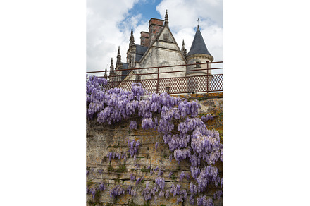 Chateau of Amboise during springtime