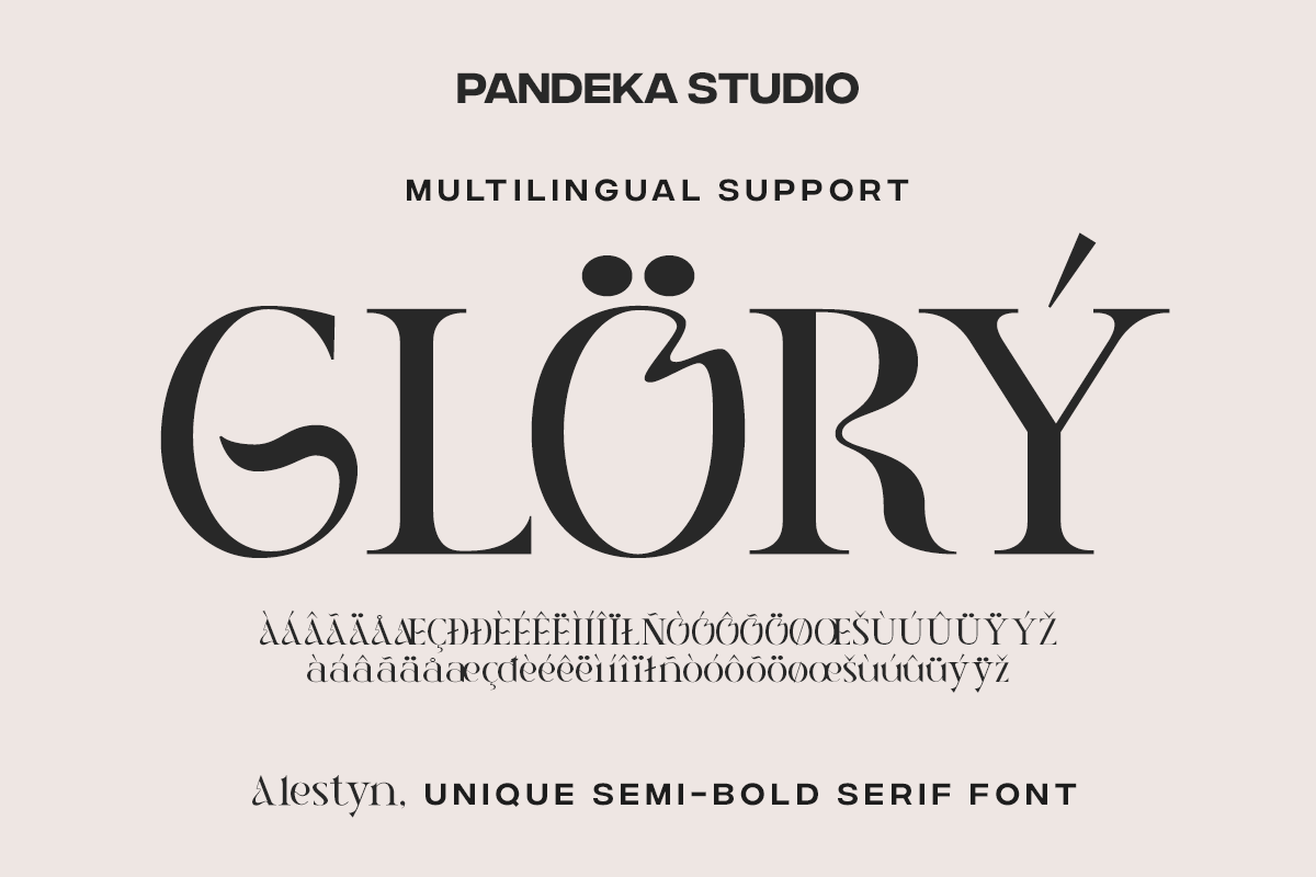 Alestyn - Aesthetic Modern Serif, a Serif Font by Pandeka Studio (Photo 11 of 12)