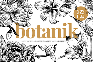 Botanical Illustration Bundle