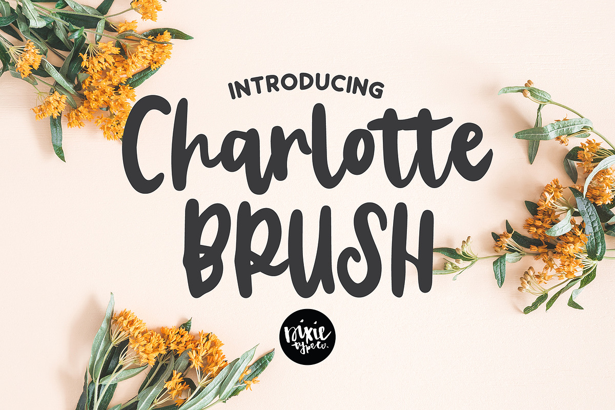 ULTIMATE .OTF FONT BUNDLE - 45 FONTS preview 7