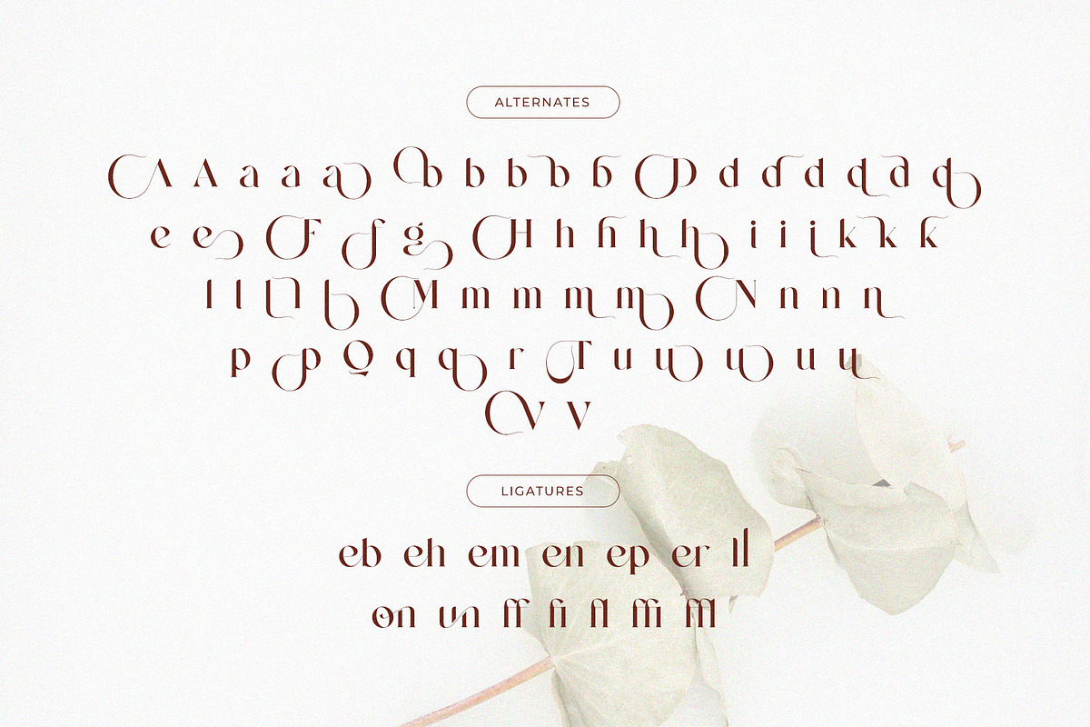 Mending – Stylish Display Serif Font, a Serif Font by BrandSemut (Photo 8 of 10)