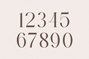 Zaloga Typeface - Display Serif, a Serif Font by Youthlabs Studio (Thumbnail 9 of 12)