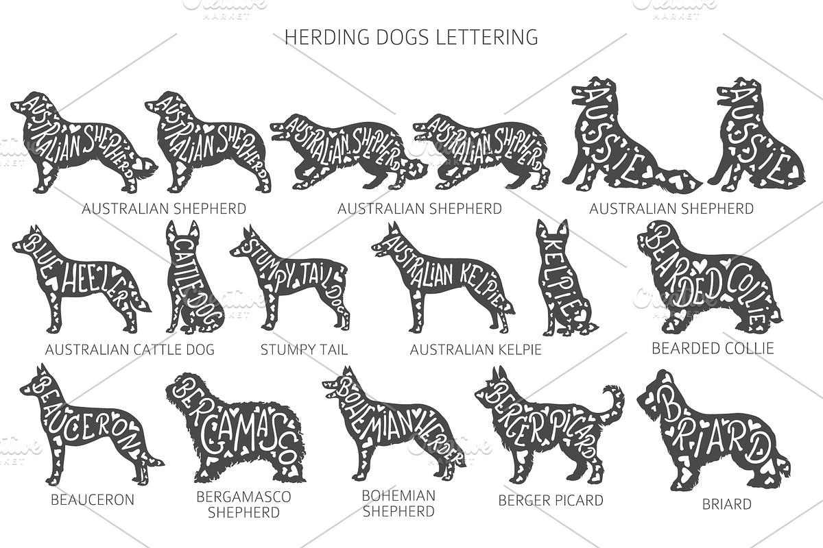 Herding dogs, Sheepdogs Silhouettes, an Animal Illustration by pet design shop (Photo 10 of 13)
