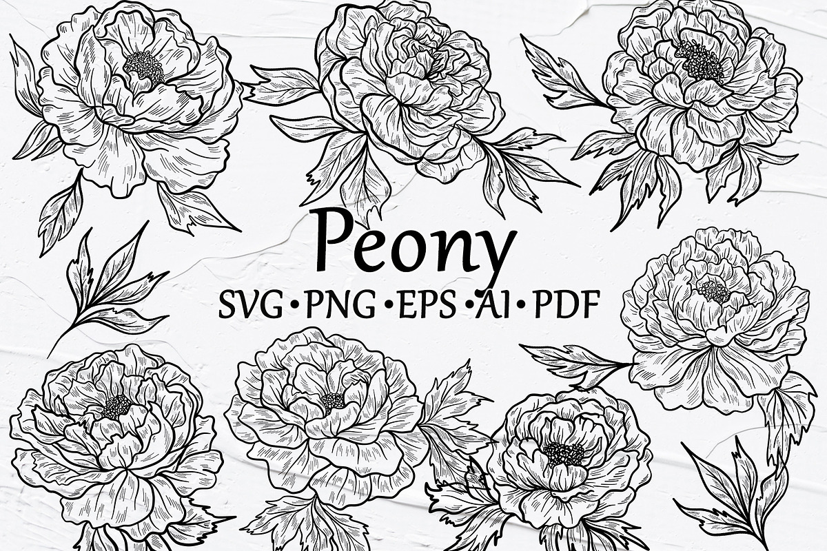 Peony Outline SVG Clipart, an Outline Icon by BarvArt