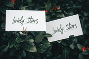Backstand Sunday - Freestyle Brush, a Handwritten Font by tebaltipislab (Thumbnail 9 of 12)