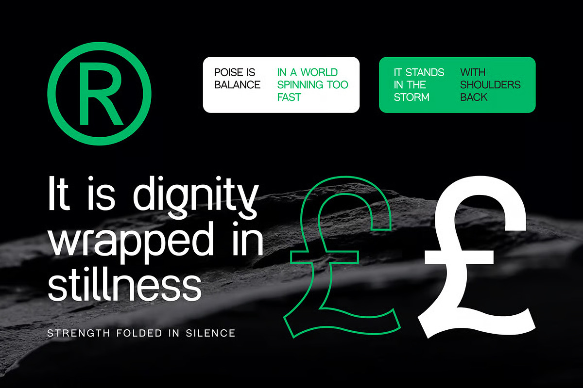 Bulgaro - Modern Display Sans Serif, a Sans Serif Font by Brand Earth (Photo 4 of 7)
