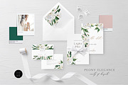 White Peony Elegance, an Illustration by Olga Koelsch (Thumbnail 3 of 5)