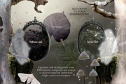 The Veil – Mystical Collage Kit, an Object Graphic by Eva Gentle (Thumbnail 13 of 13)