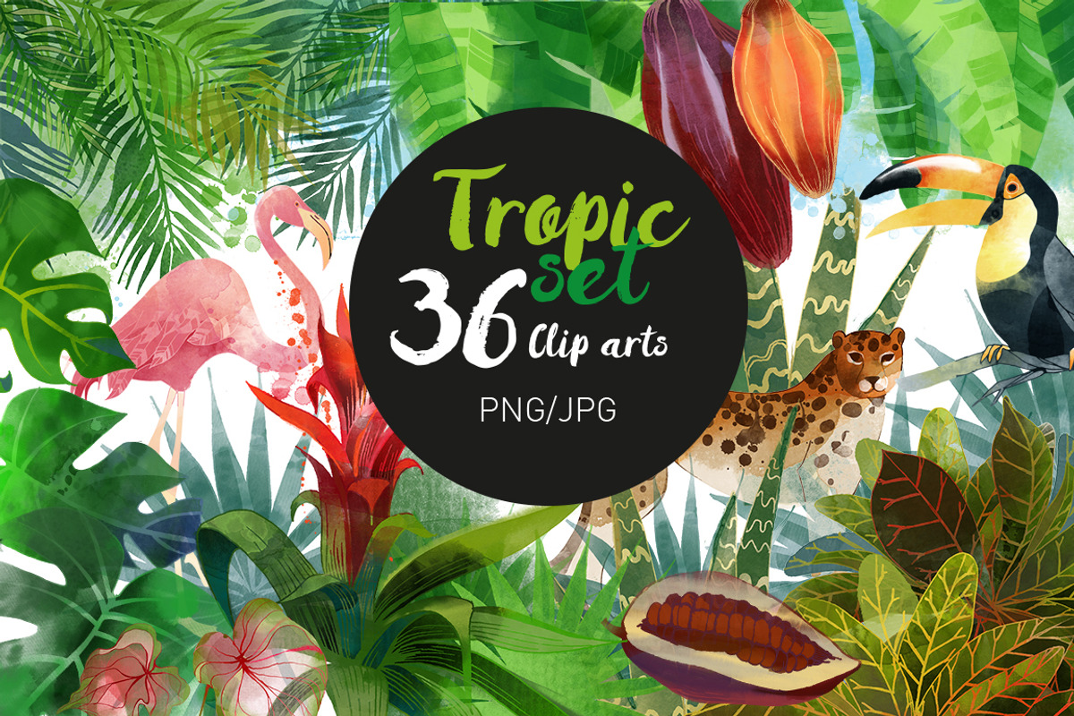 Tropic set, a Decorative Illustration by Tatiana Davidova (Photo 1 of 3)