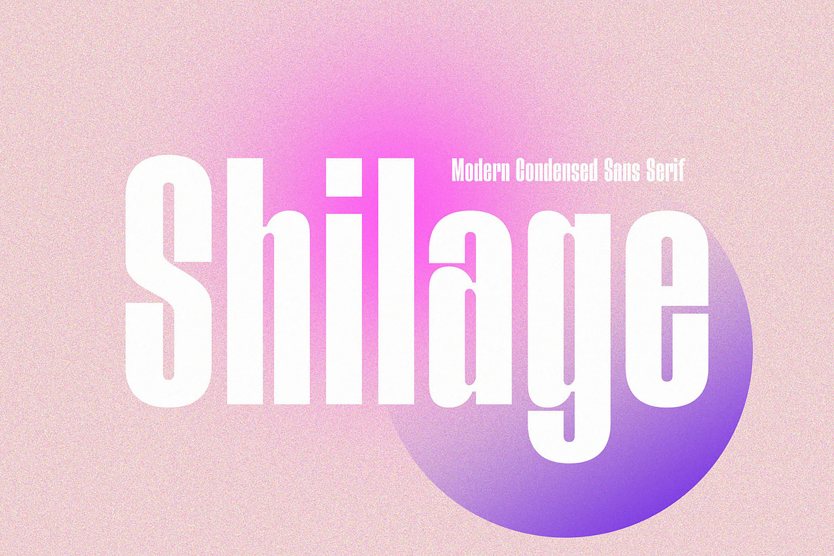 Shilage - Modern Condensed Sans Seri, a Sans Serif Font by TypeLogue (Photo 1 of 5)