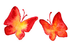 Watercolor Red Yellow Butterfly Set