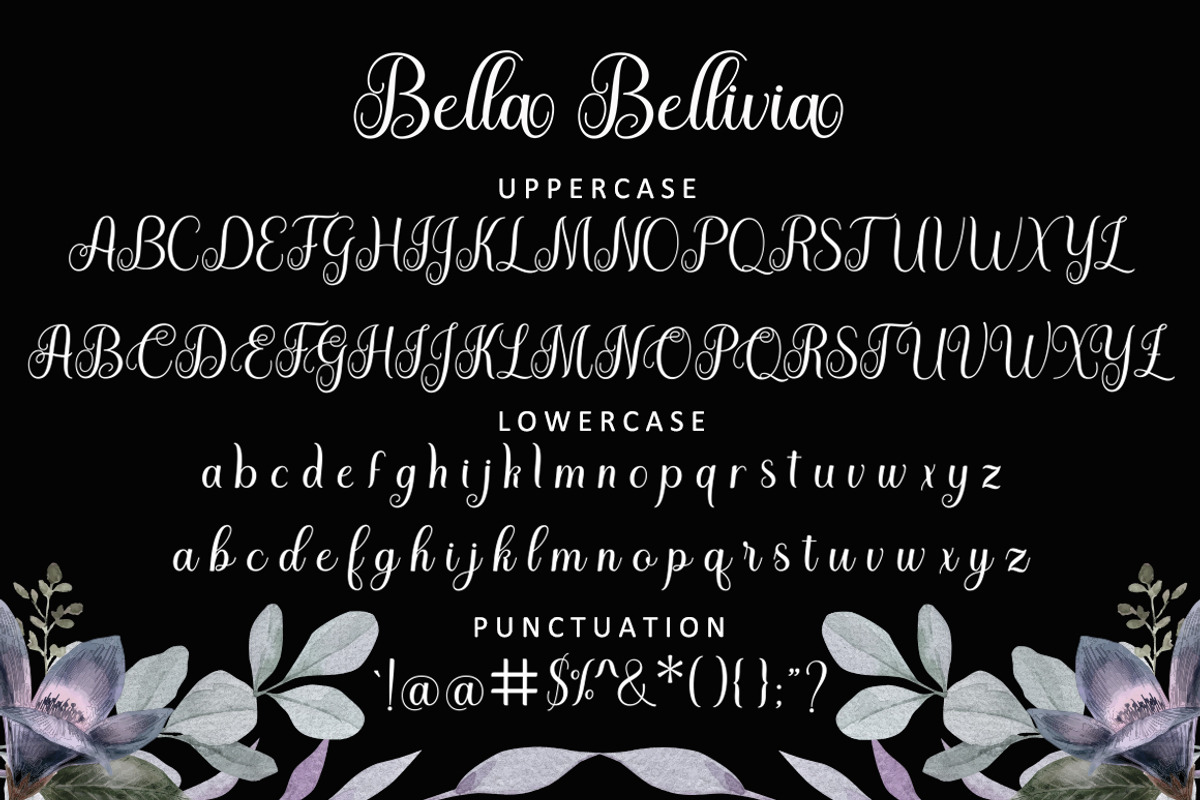Bella Bellivia, a Script Font by Strong.co (Photo 7 of 9)