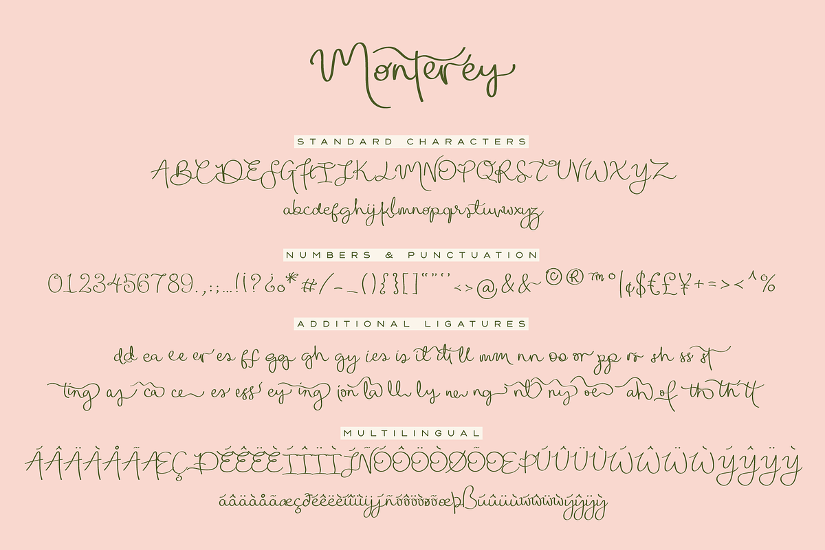 Monterey | Handwritten Script Font, a Handwritten Font by Monterey Studio (Photo 3 of 15)
