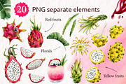 Tropical Dragon Fruit Pitaya Clipart, a Food Illustration by Elena Malgina Clipart (Thumbnail 2 of 12)
