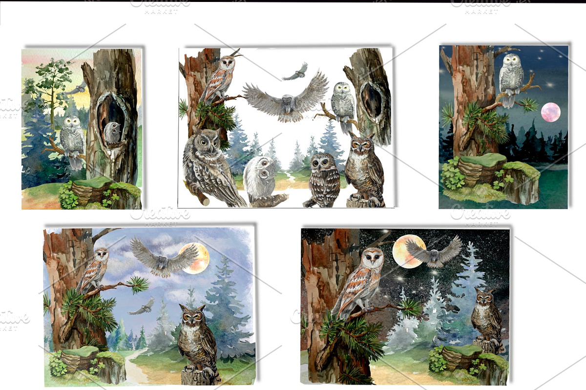 Owls in the forest .Woodland., an Animal Illustration by AkvarelRiver (Photo 8 of 9)