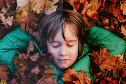 10 Autumn - Fall Lightroom Presets, a Preset Add-On by VividFrame (Thumbnail 4 of 9)