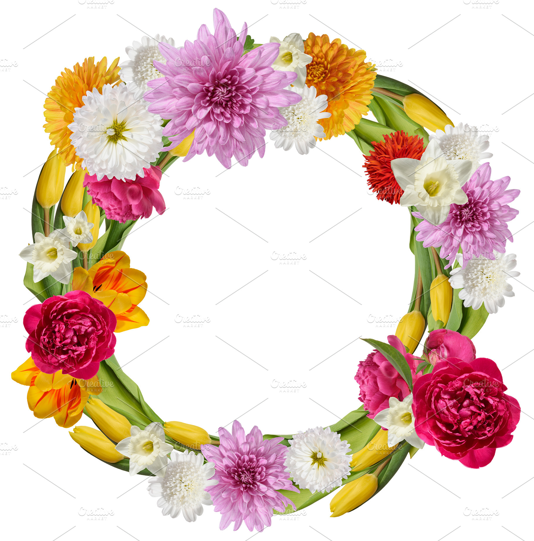 A lush floral wreath composed of multi-colored chrysanthemums, p, a Nature Photo by ndanko