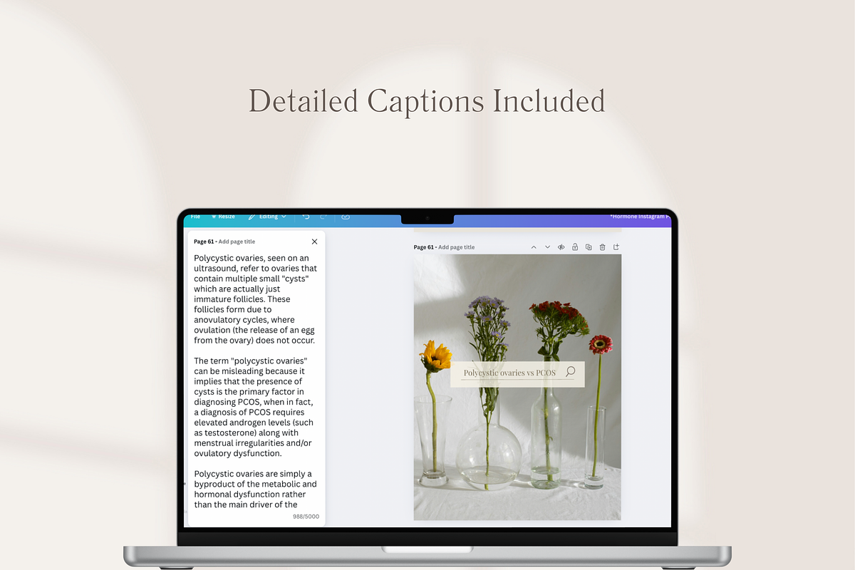 Hormone Social Media Templates, a Templates & Theme by Naturopath Hub (Photo 4 of 10)