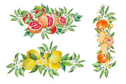 Citrus set, Watercolor clipart., an Object Illustration by AkvarelRiver (Thumbnail 5 of 10)