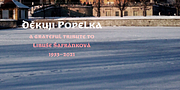 Popelka, a Serif Font by Andreas Stötzner (Thumbnail 2 of 11)