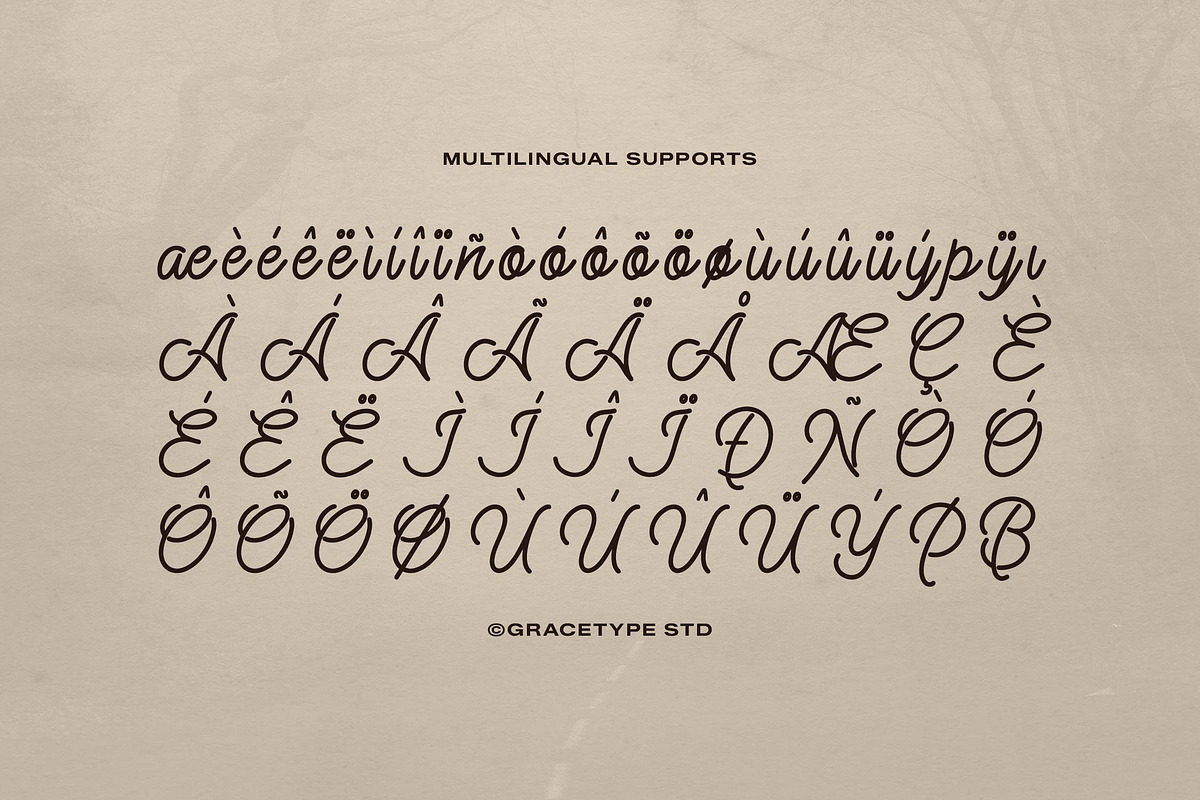 Alontima | Monoline Script, a Script Font by gracetype_studio (Photo 11 of 12)