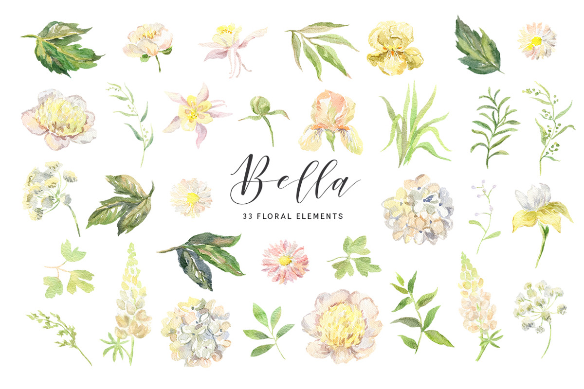 Bella. Watercolor floral collection, an Illustration by OJardin (Photo 6 of 6)