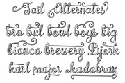 Brazilian Script, a Script Font by Royaltype (Thumbnail 13 of 14)