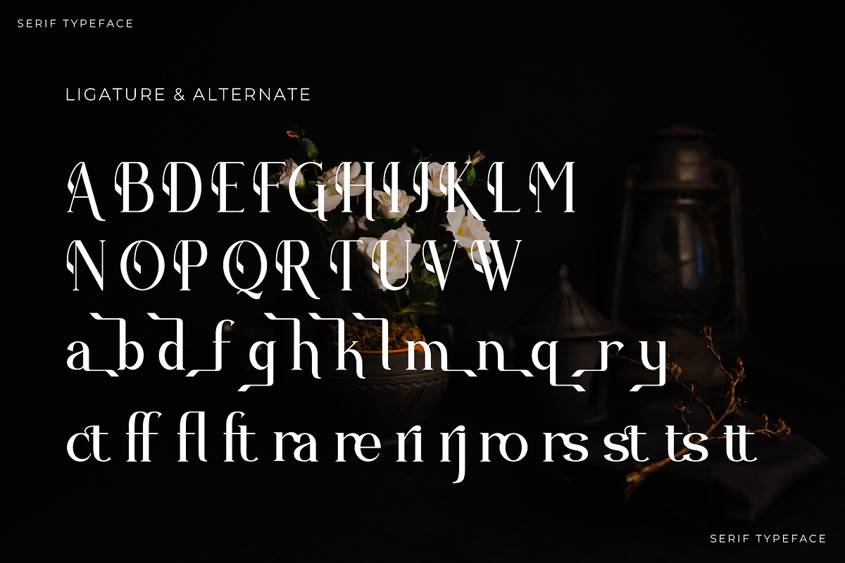 Qristle - Serif Typeface Font, a Serif Font by Rishsketch (Photo 13 of 15)