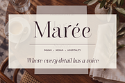 Vesoliere Elegant Serif Font, a Serif Font by Designertale (Thumbnail 5 of 10)