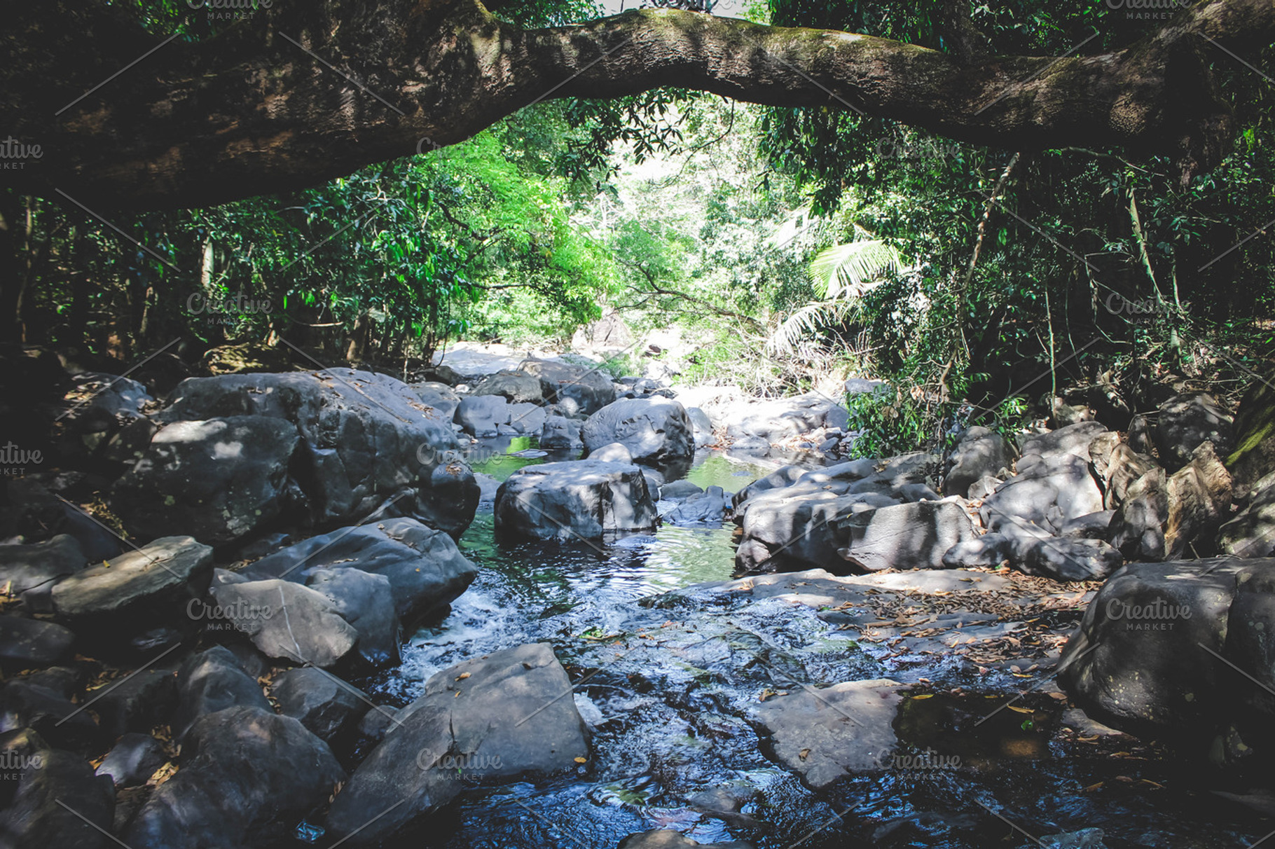 Waterfall in the jungle, a Background Photo by KULISTOV