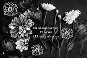 Minimalistic Floral Illustrations, a Decorative Illustration by Chimerique (Thumbnail 4 of 9)
