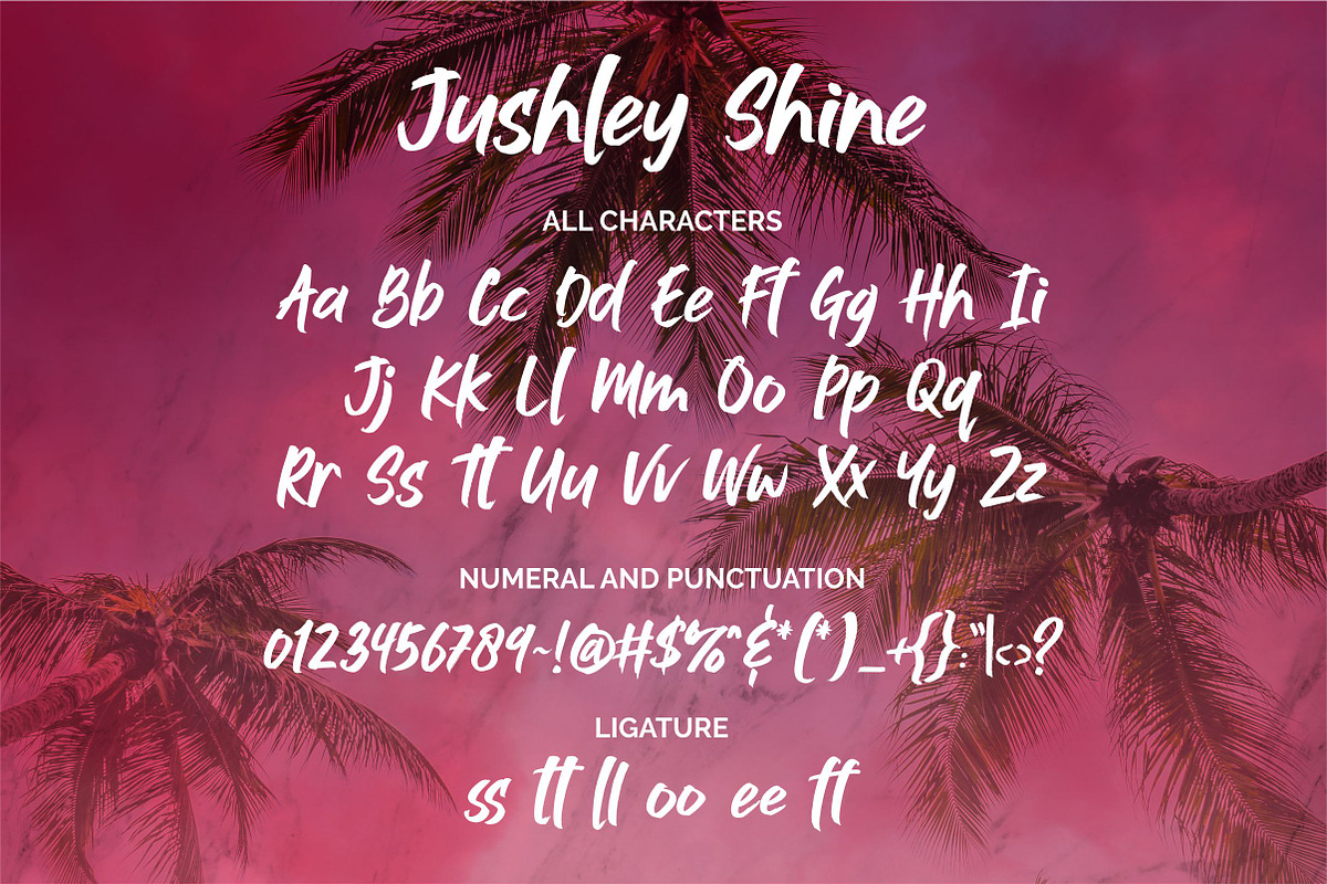 Jushley Shine - BRUSH FONT, a Font by ErgibiStudio (Photo 10 of 11)