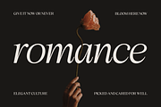 Chelory - Family Serif, a Serif Font by Marvadesign (Thumbnail 7 of 14)